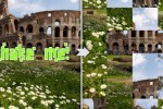 Puzzle Quiz (iPhone/iPod)