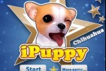 iPuppy Chihuahua (iPhone/iPod)