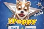 iPuppy Husky (iPhone/iPod)