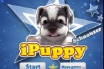 iPuppy Schnauzer (iPhone/iPod)