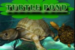 Turtle Pond (iPhone/iPod)