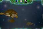 Turtle Pond (iPhone/iPod)