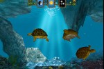 Turtle Pond (iPhone/iPod)