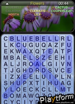 WordSearch Puzzle (iPhone/iPod)