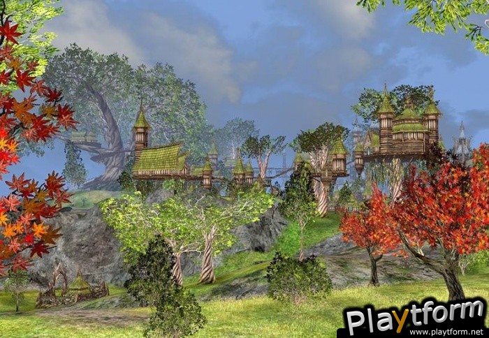 Darkfall Online (PC)