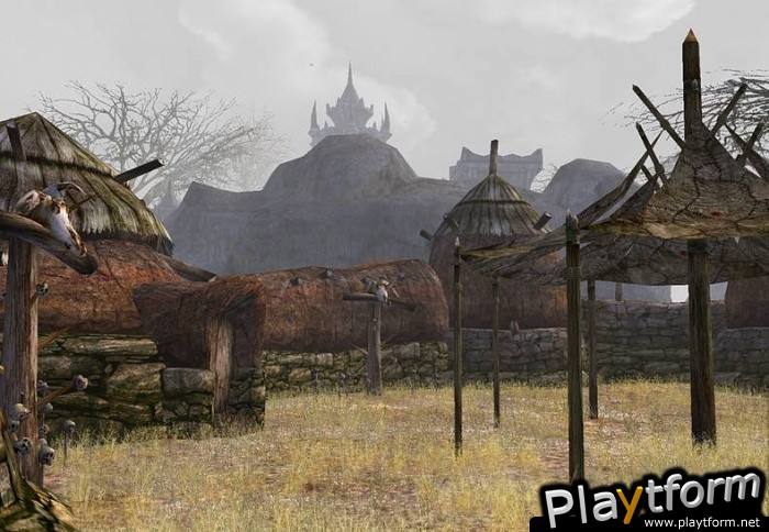 Darkfall Online (PC)