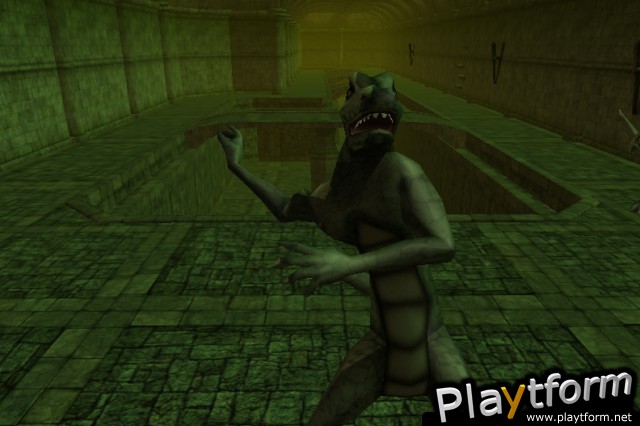 Darkfall Online (PC)