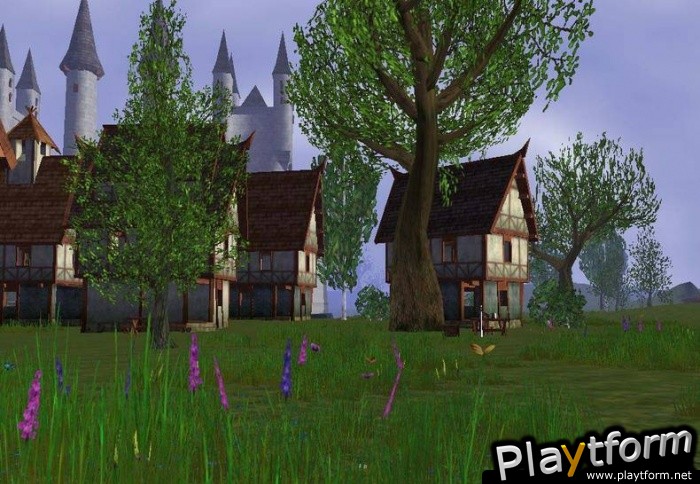 Darkfall Online (PC)