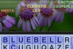 WordSearch Puzzle (iPhone/iPod)