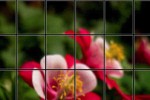 Unscramble Puzzle (iPhone/iPod)