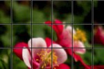 Unscramble Puzzle (iPhone/iPod)