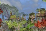 Darkfall Online (PC)