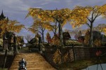 Darkfall Online (PC)