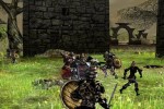 Darkfall Online (PC)