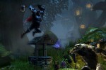 Trine (PC)