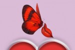 Love -O- Love (iPhone/iPod)