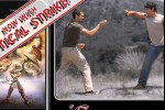 iSamurai Bluetooth: Real Life Sword Fight (iPhone/iPod)