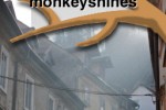 My Monkey (iPhone/iPod)