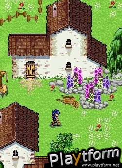Western Lords (DS)