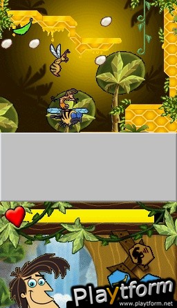 George of the Jungle and the Search for the Secret (DS)
