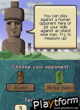 Logic Island (DS)