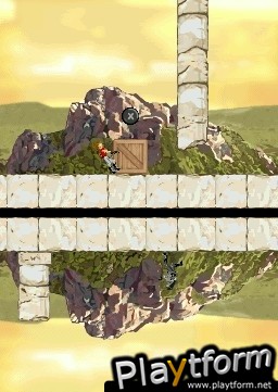 Reflection (DS)