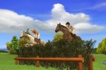 My Horse & Me 2: Riding for Gold (Wii)