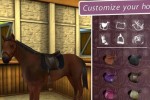 My Horse & Me 2: Riding for Gold (Wii)
