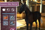 My Horse & Me 2: Riding for Gold (Wii)