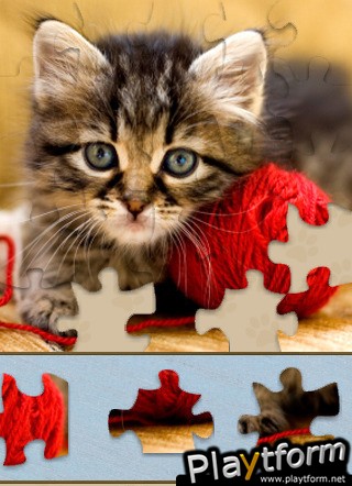 Kitten Jigsaw Puzzle (iPhone/iPod)