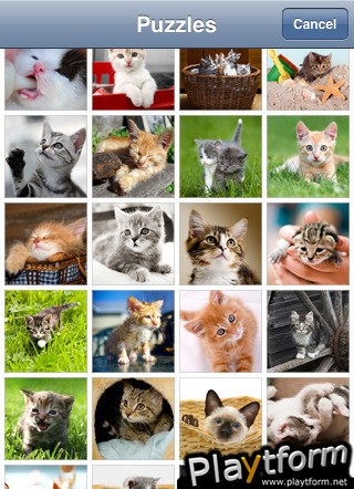Kitten Jigsaw Puzzle (iPhone/iPod)