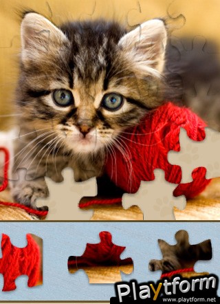 Kitten Jigsaw Puzzle (iPhone/iPod)