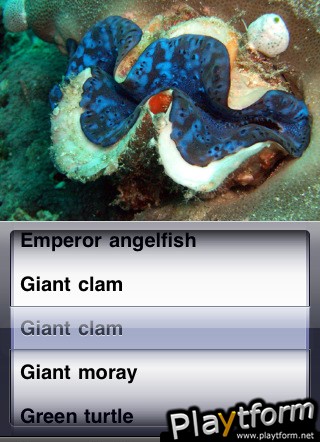 Puzzle Arabian Sea (iPhone/iPod)