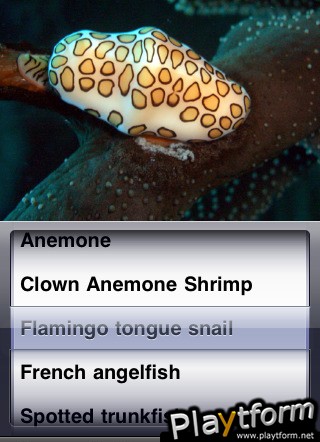 Puzzle Caribbean Sea (iPhone/iPod)