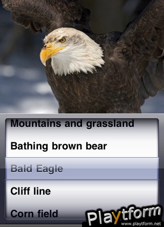 Puzzle Nature (iPhone/iPod)