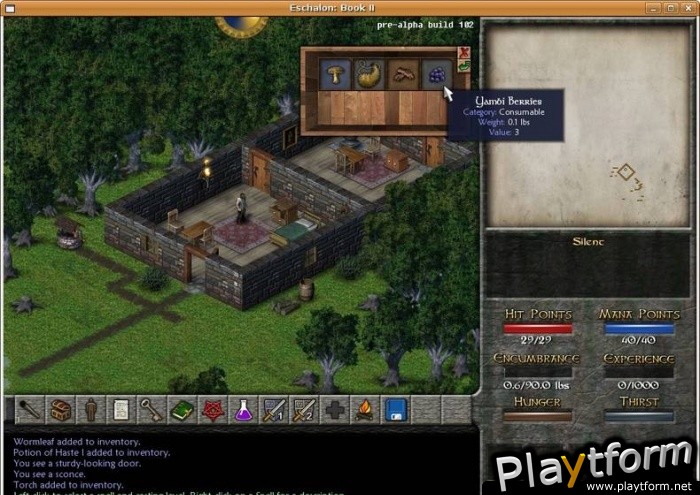 Eschalon: Book II (PC)
