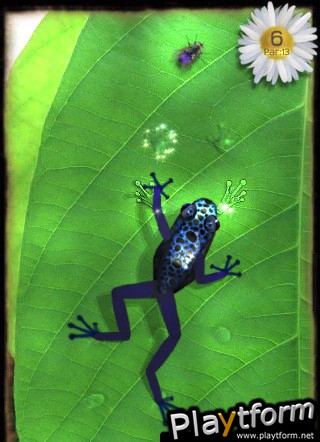 Ancient Frog (iPhone/iPod)