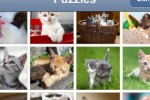 Kitten Jigsaw Puzzle (iPhone/iPod)