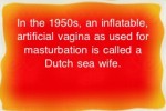 Sex Quiz (iPhone/iPod)