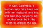 Sex Quiz (iPhone/iPod)