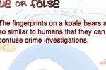 True or False Trivia Quiz : Amazing Facts (iPhone/iPod)