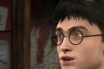 Harry Potter and the Half-Blood Prince (PC)