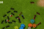 Ant Commander (iPhone/iPod)