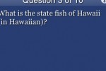 US Geography Trivia for The Factual Intellectual (iPhone/iPod)