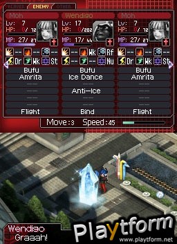 Shin Megami Tensei: Devil Survivor (DS)