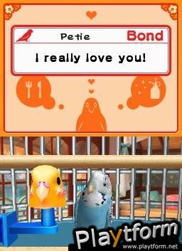 Discovery Kids: Parrot Pals (DS)
