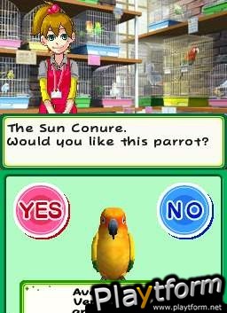 Discovery Kids: Parrot Pals (DS)