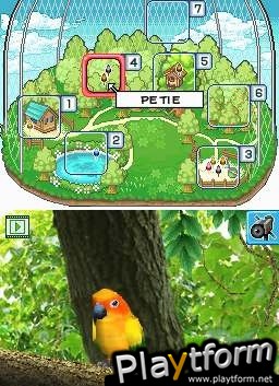 Discovery Kids: Parrot Pals (DS)