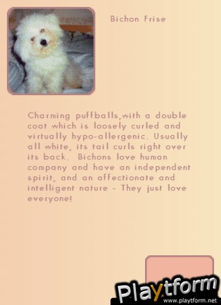 EyePhonespy Dogs (iPhone/iPod)