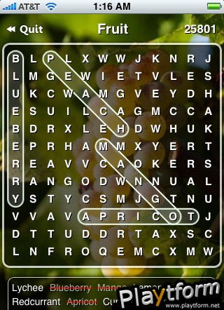 Word Search Pro! (iPhone/iPod)